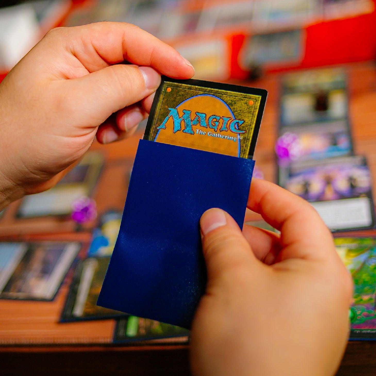 ACCESORIOS Y PROTECTORES